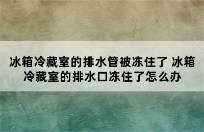 冰箱冷藏室的排水管被冻住了 冰箱冷藏室的排水口冻住了怎么办